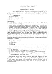 Komenskis ir jo „Didžioji didaktika“