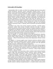 Lietuva prie ES slenksčio 2 puslapis