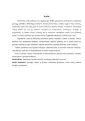 Lietuvos verslininkų problemos 2 puslapis