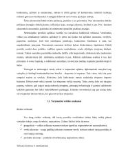 Lietuvos verslininkų problemos 4 puslapis