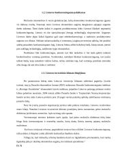 Lietuvos verslininkų problemos 6 puslapis