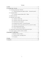 Lietuvos gyvenimo lygis 2 puslapis