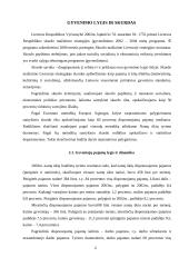 Lietuvos gyvenimo lygis 4 puslapis