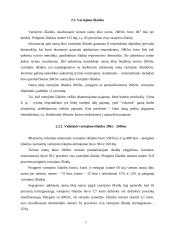 Lietuvos gyvenimo lygis 7 puslapis