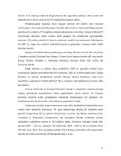 Lietuvos ir ES derybinis procesas 11 puslapis