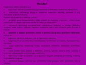 "X" įmonės raštvedybos sistema 4 puslapis