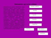 "X" įmonės raštvedybos sistema 6 puslapis