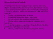 "X" įmonės raštvedybos sistema 8 puslapis