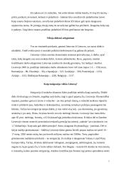 Narystės ES įtaka verslui ir migracija 7 puslapis