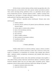 Pagalbos reikšmė ugdant neįgalumą turinčius mokinius 4 puslapis