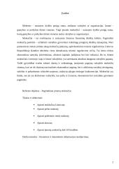 Pagrindiniai įmonių mokesčiai 3 puslapis