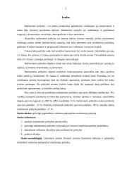 Pagrindinių veiksnių, darančių įtaką mažmeninei prekybai nustatymas ir analizė 2 puslapis