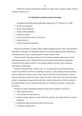 Pagrindinių veiksnių, darančių įtaką mažmeninei prekybai nustatymas ir analizė 13 puslapis