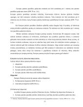 Patentų registravimo ir apsaugos sistemos ir jų tarpusavio santykis Europoje 15 puslapis