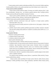 Patentų registravimo ir apsaugos sistemos ir jų tarpusavio santykis Europoje 17 puslapis