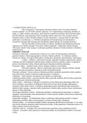 Personalo atleidimo teisiniai aspektai 4 puslapis