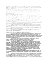 Personalo atleidimo teisiniai aspektai 6 puslapis