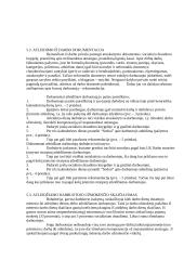 Personalo atleidimo teisiniai aspektai 10 puslapis