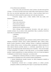 Planavimas, organizavimas ir inovacijos 12 puslapis