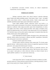 Planavimas, organizavimas ir inovacijos 13 puslapis