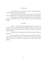 Planavimas, organizavimas ir inovacijos 14 puslapis