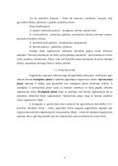 Planavimas, organizavimas ir inovacijos 5 puslapis