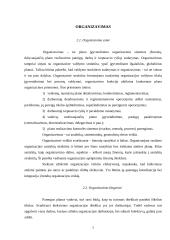 Planavimas, organizavimas ir inovacijos 7 puslapis