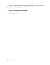 Nacionaliniai prekių ženklai 12 puslapis