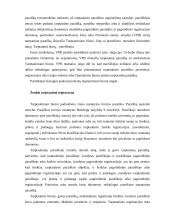 Nacionaliniai prekių ženklai 17 puslapis