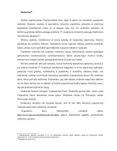 Nacionaliniai prekių ženklai 20 puslapis