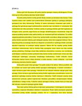 Nacionaliniai prekių ženklai 3 puslapis