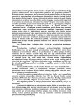 Privatizavimas Lietuvoje ir kitose šalyse 11 puslapis