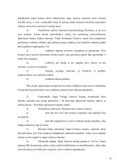 Santuokos pripažinimas negaliojančia 12 puslapis