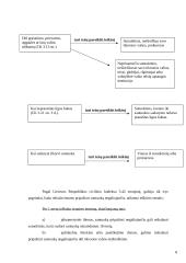 Santuokos pripažinimas negaliojančia 8 puslapis