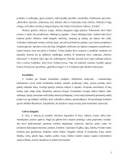 Senovės šukuosenos, papuošalai 2 puslapis