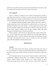 Senovės šukuosenos, papuošalai 13 puslapis