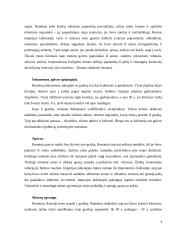 Senovės šukuosenos, papuošalai 4 puslapis