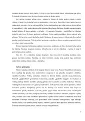 Senovės šukuosenos, papuošalai 5 puslapis