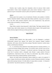 Senovės šukuosenos, papuošalai 6 puslapis