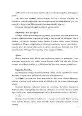 Senovės šukuosenos, papuošalai 7 puslapis