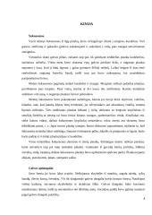 Senovės šukuosenos, papuošalai 8 puslapis