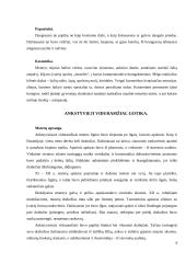 Senovės šukuosenos, papuošalai 9 puslapis