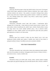 Senovės šukuosenos, papuošalai 10 puslapis