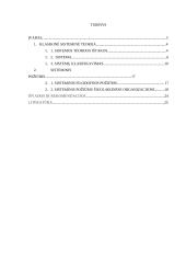 Sistema ir sisteminis požiūris 2 puslapis