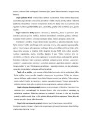 Sistema ir sisteminis požiūris 12 puslapis