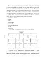 Sistema ir sisteminis požiūris 13 puslapis