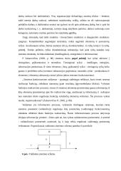Sistema ir sisteminis požiūris 15 puslapis