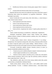 Sistema ir sisteminis požiūris 9 puslapis