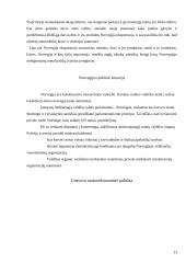 Skandinaviškasis ekonomikos modelis 13 puslapis