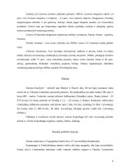 Skandinaviškasis ekonomikos modelis 6 puslapis